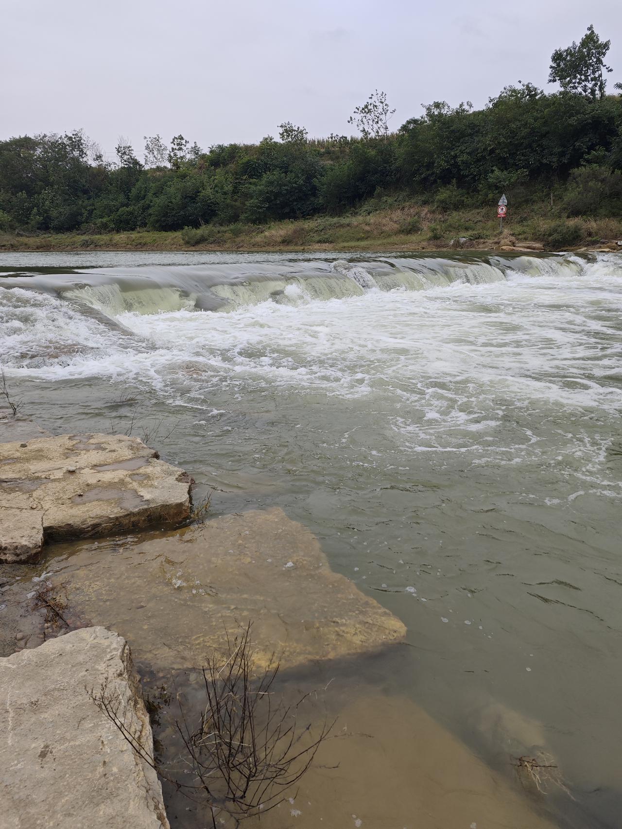 《七律·伤秋④》
作者：转转看到




​​庭院深深雾锁楼，
素月朦朦云际留。