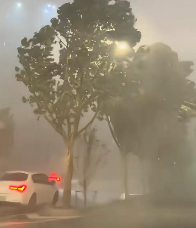 台风“白海豚”堪称“雨神”，已在浙江省降下了227亿吨雨水，几乎相当于黄河5个月
