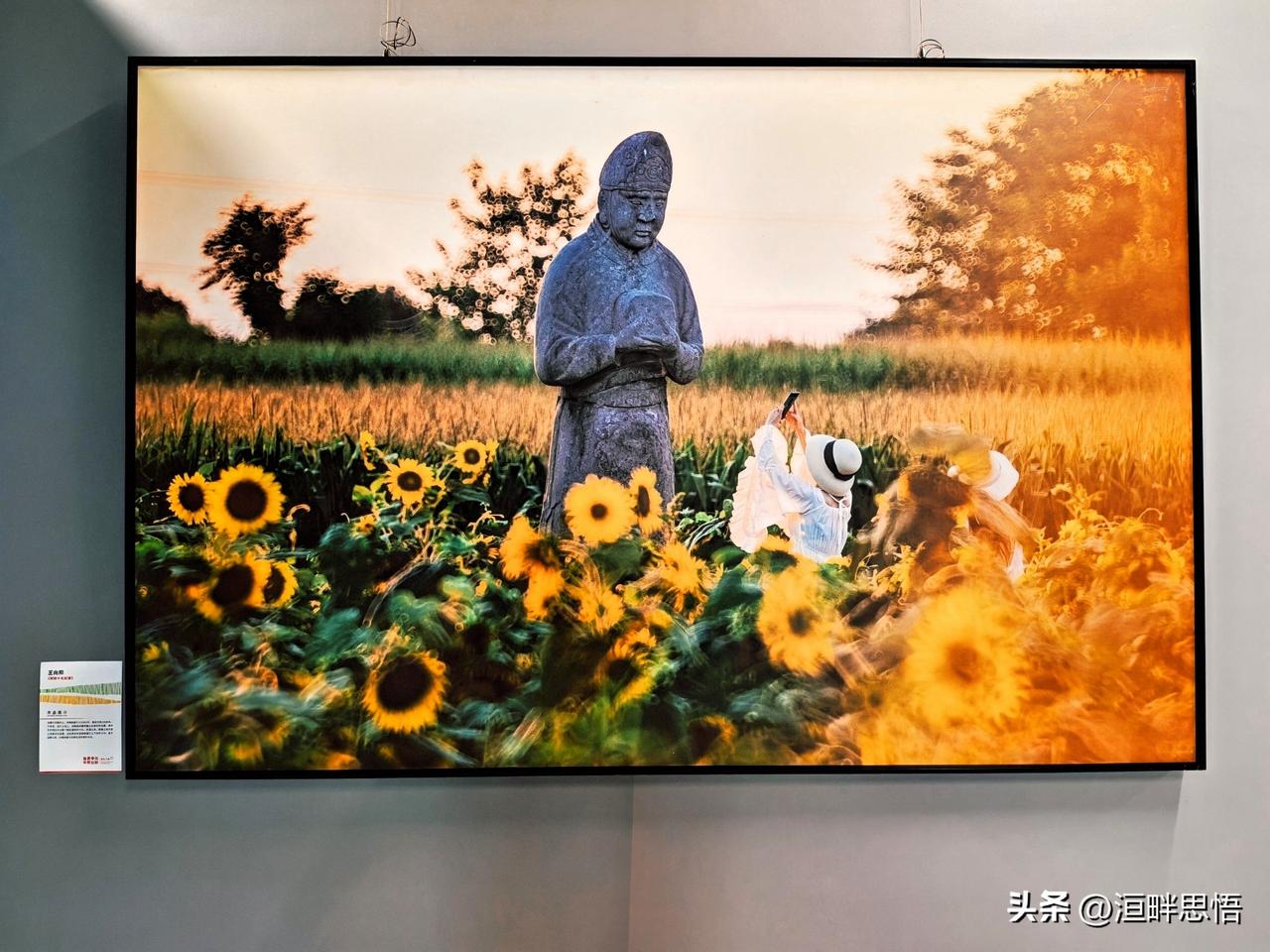 “奋勇争先中原出彩”摄影大展(九）