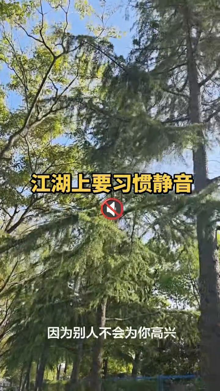 江湖上要习惯静音。
·高兴的事情不要和别人说，因为别人不会为你高兴，只会嫉妒你。