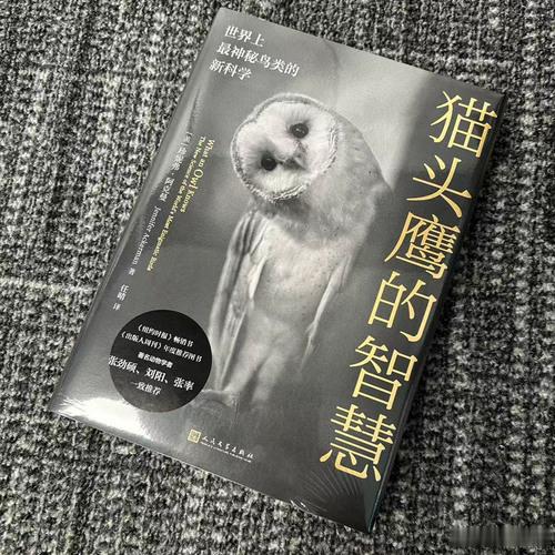知書club 新书介绍丨“如果有谁对这个世界有所了解，那只能是猫头鹰。”千百年来