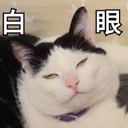 居然要上班。 ​​​
