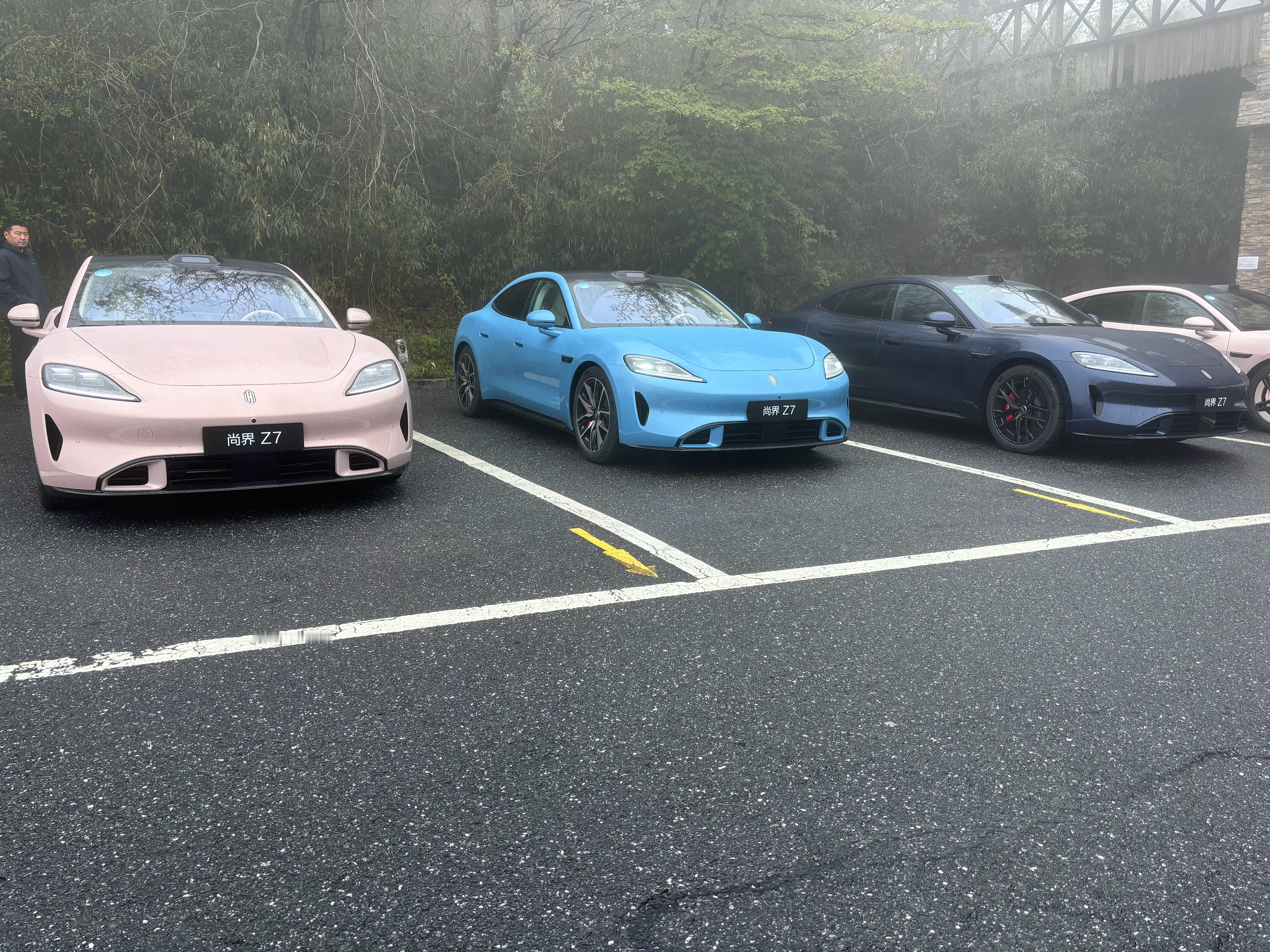 喜欢哪个颜色尚界z7