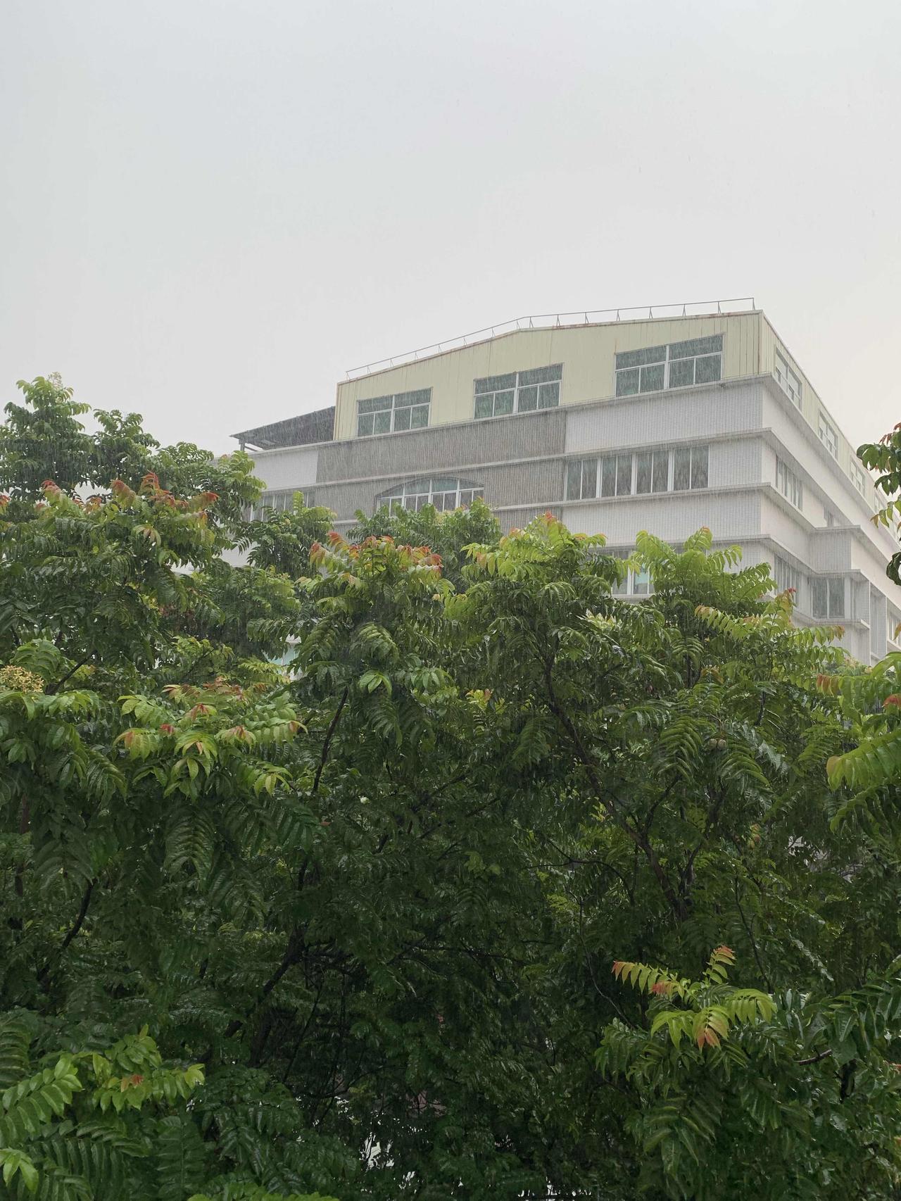 一场急雨宣告立秋登场
雷声掠过街巷，浇熄午后热浪
可这场短暂的人间阵雨
赶不走远