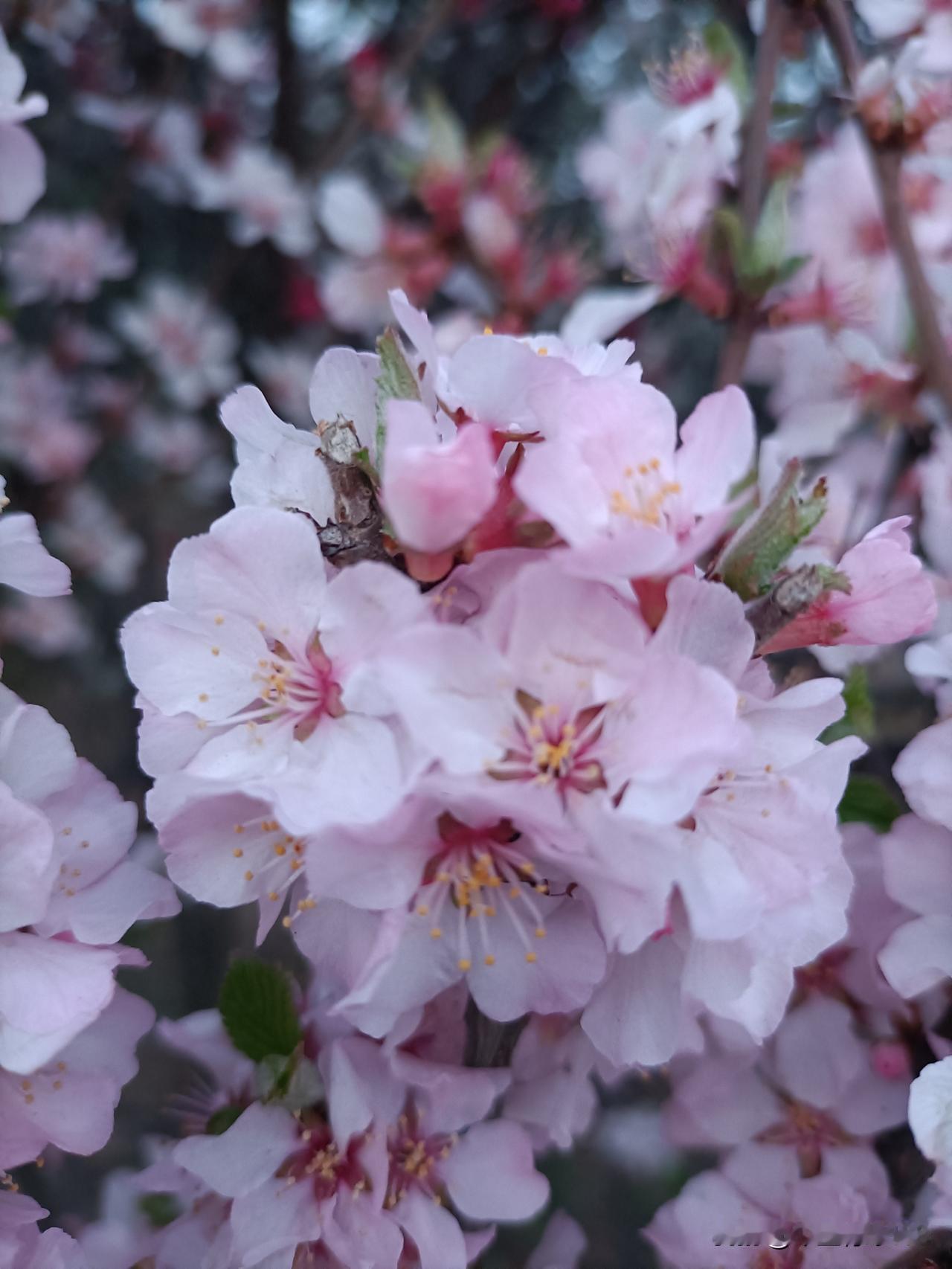 别总忙着追逐远方，先把自己照顾妥当。健康是一切的基础，开心是最好的状态，拥有好身