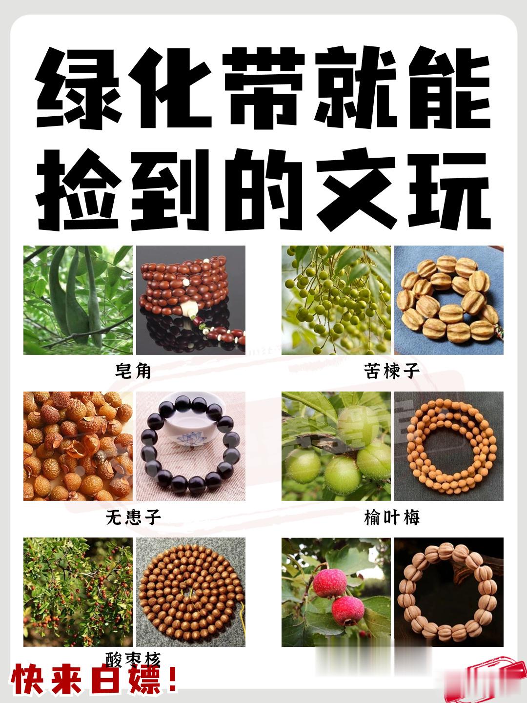 绿化带就能捡到的文玩，你确定不了解一下吗