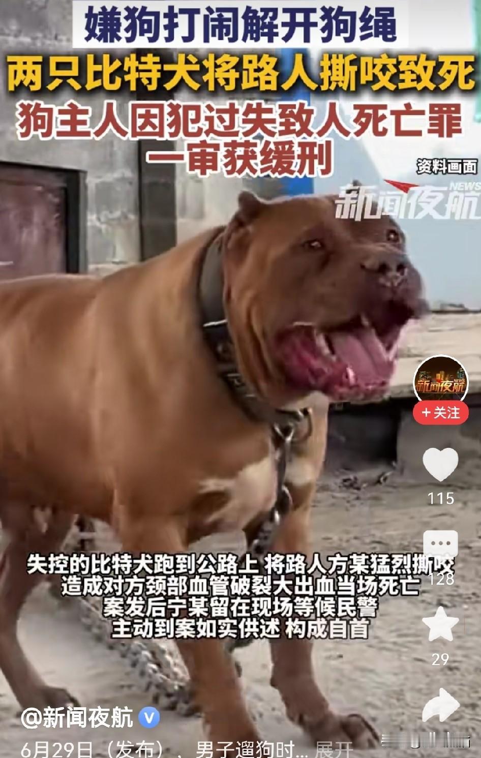 重庆比特犬案，大伙看完都觉得出门心里发慌！
重庆这个比特犬伤人致死的案子判完，很