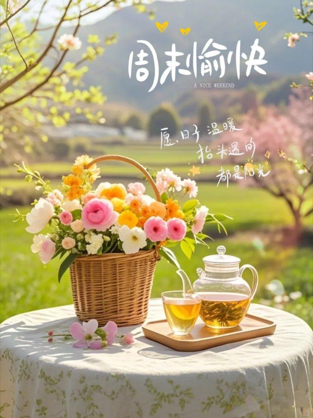 💕𝗛𝗮𝘃𝗲 𝗮 𝗻𝗶𝗰𝗲 𝗗𝗮𝘆·阳光正好，微风不燥，