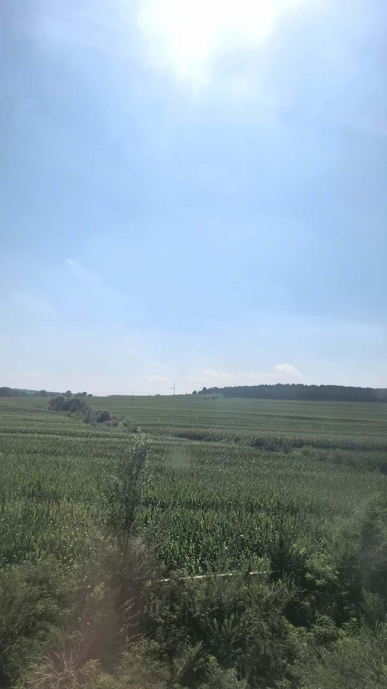 今日分享随手拍照片