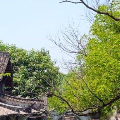 每日一善 向善是一种文明，也是一种光明。善良之举，需要人人拥有，善良之歌，需要人