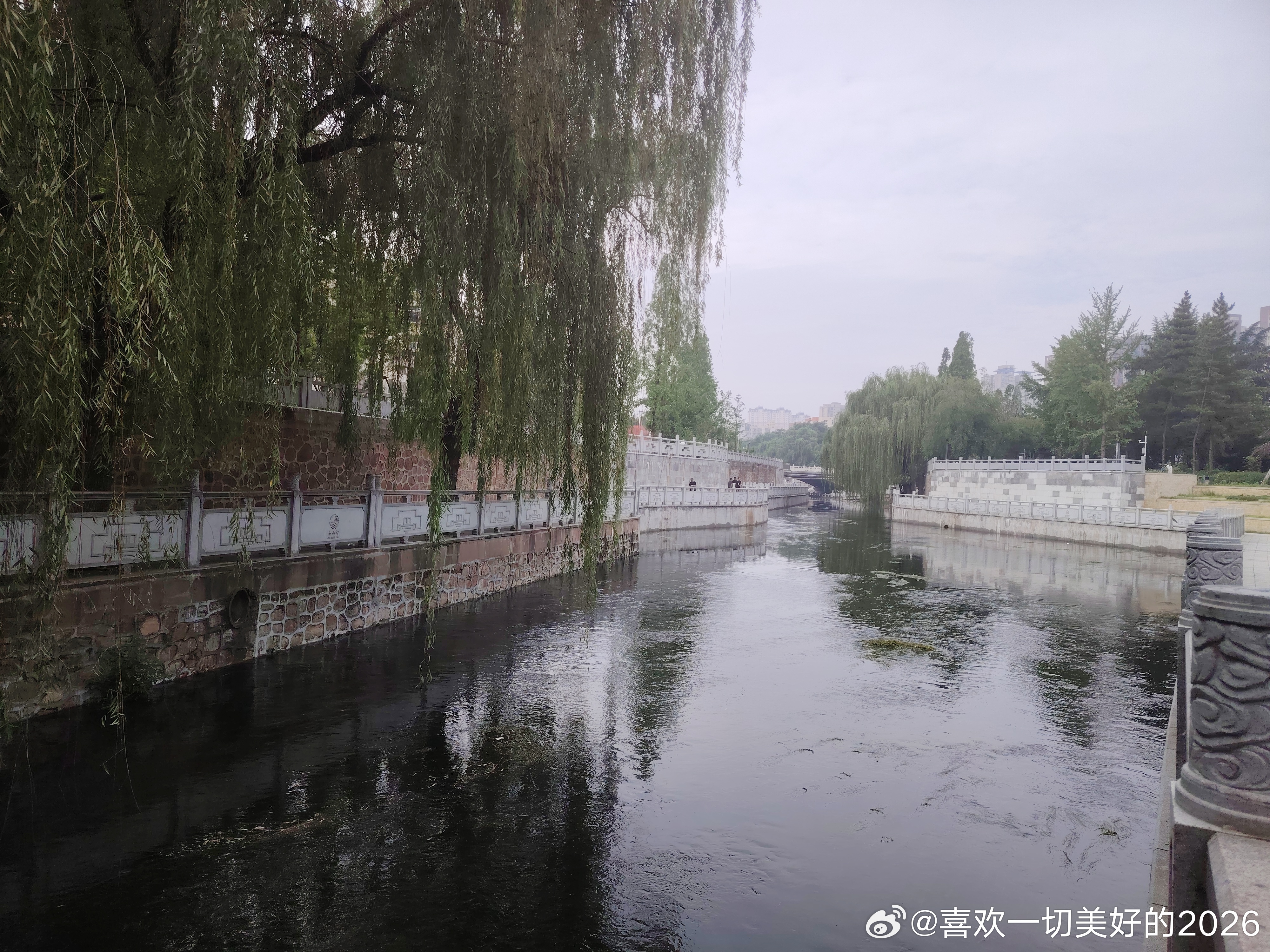 早上好，遛弯儿了没有 