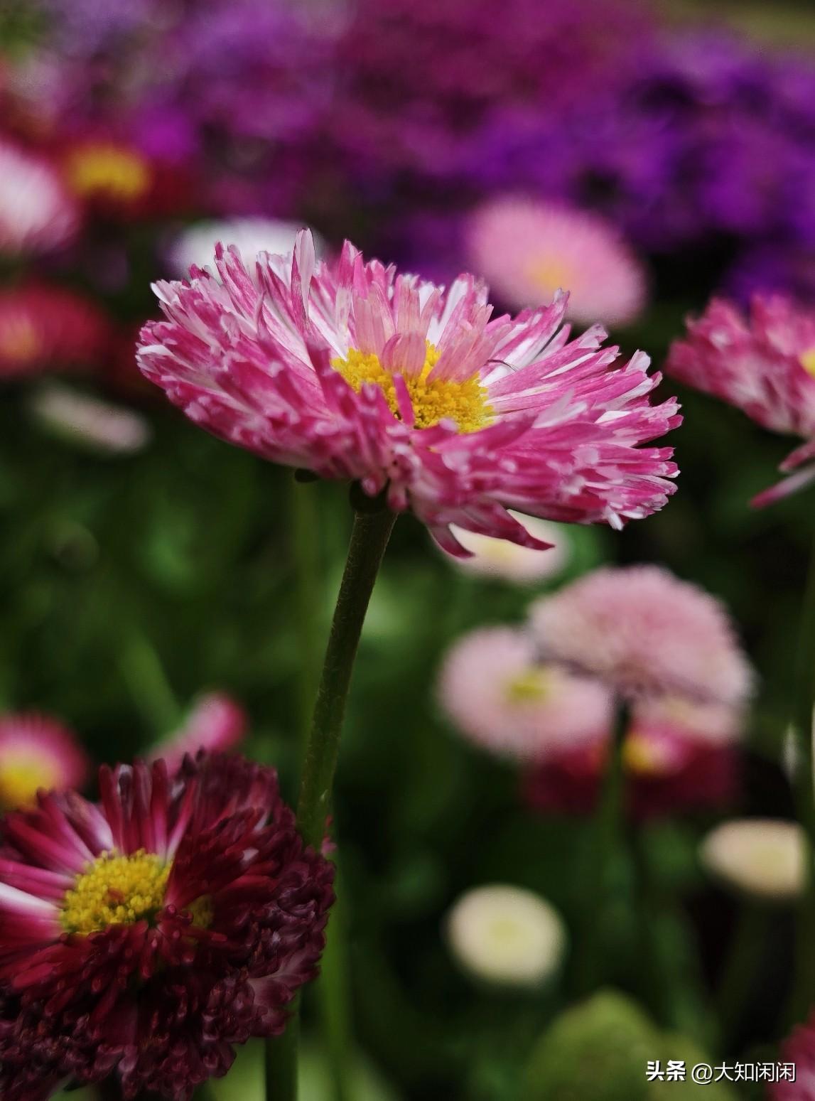 养老新方法：雇佣邻居
​网上看到一个70多岁大爷的养老方式：不去养老院，也不跟儿