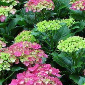 当我们把自身变得更优秀时，那些困扰你的问题自然而然就解决了，所以，不要把情绪集中