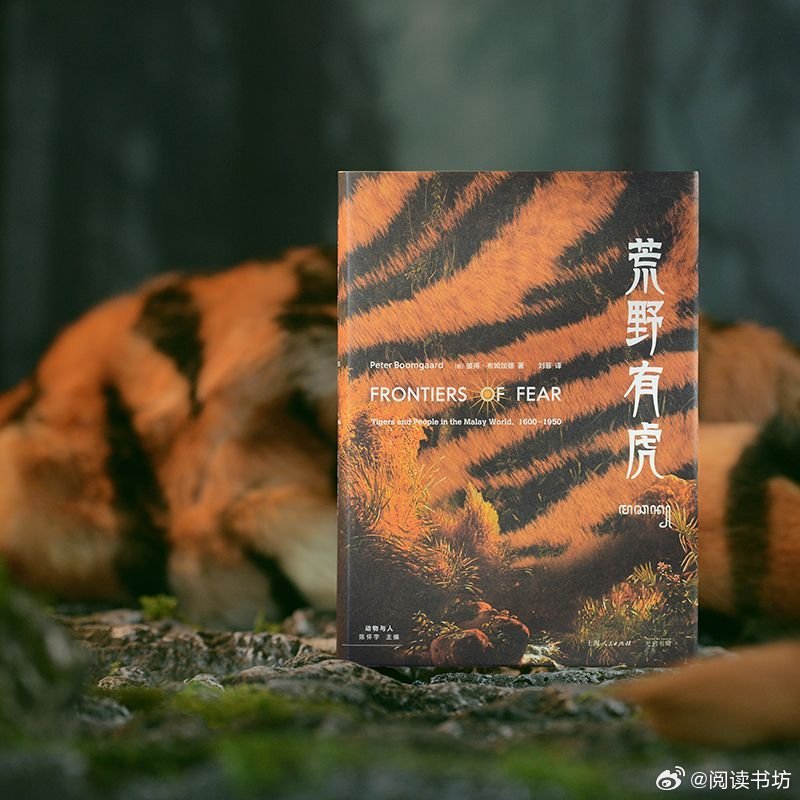 我的私人宝藏书单书评读书滋养气质 📚《荒野有虎》出版：🐾 它们曾是人们恐惧的