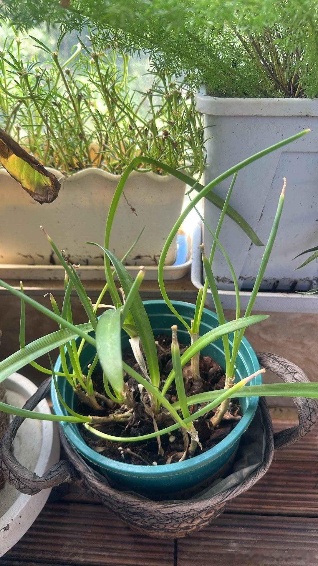 有些时候真不明白，都什么年代了，一些平台还只能发布9张图片，内部升级一下不能吗？