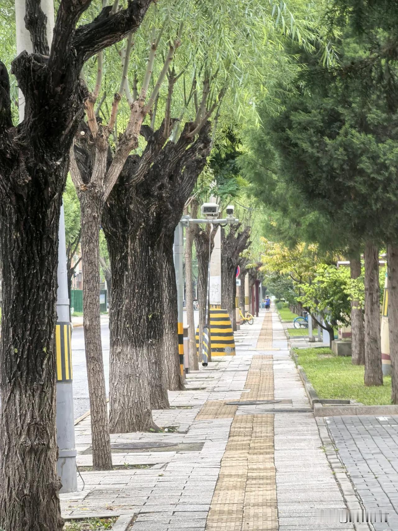 路口新添了一家水饺店