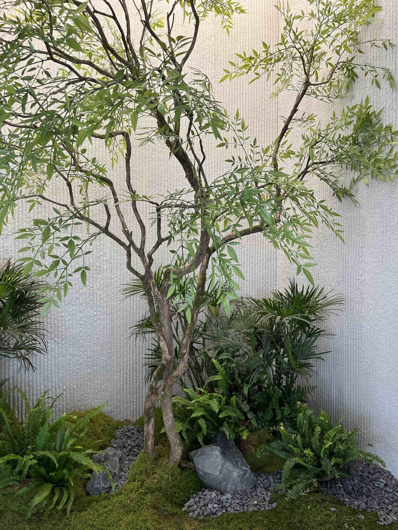 你能分辨得出哪图的树叶是真的？