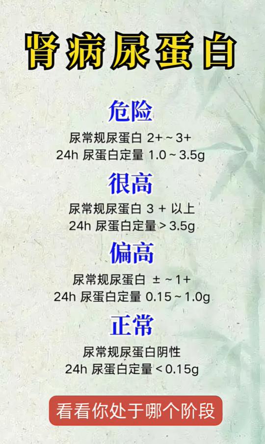 肾病尿蛋白分级对照表，看看你处于哪个阶段