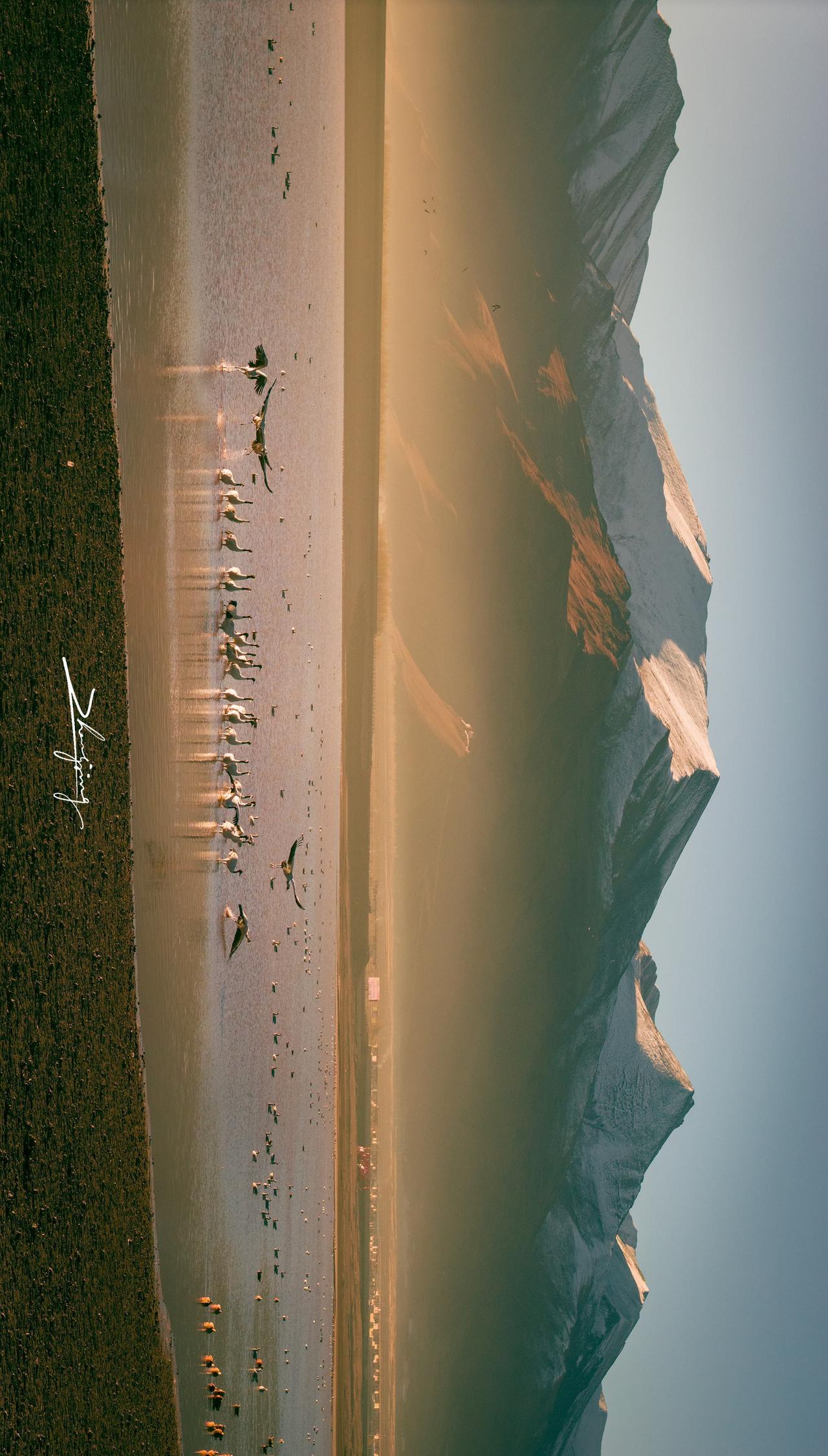 林周拍黑颈鹤 在村里冻了2小时 也不算白来 没有长焦 无人机硬怼 ​