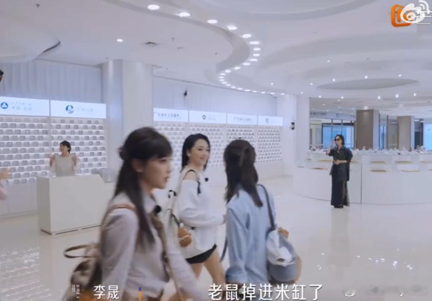 李晟 老鼠掉进米缸了 谁看了李晟逛水晶城不羡慕？东海水晶城里她开启“老鼠掉进米缸