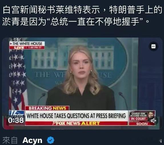 白宫发言人莱维特，口才好办事利索，可以给领导解决麻烦….. 