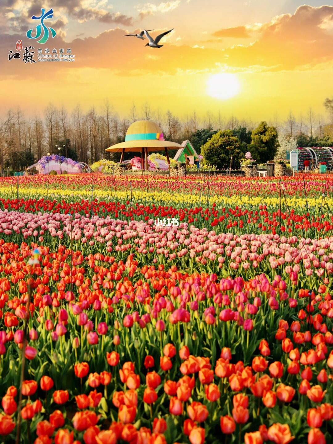 迄今为止！我最喜欢的春日小城出现了🌸❗