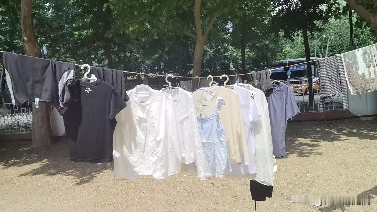 大家喜欢在公共晾衣区晾晒衣服吗？我是超级喜欢的，尤其是被子，盖着晒过的被子入睡，