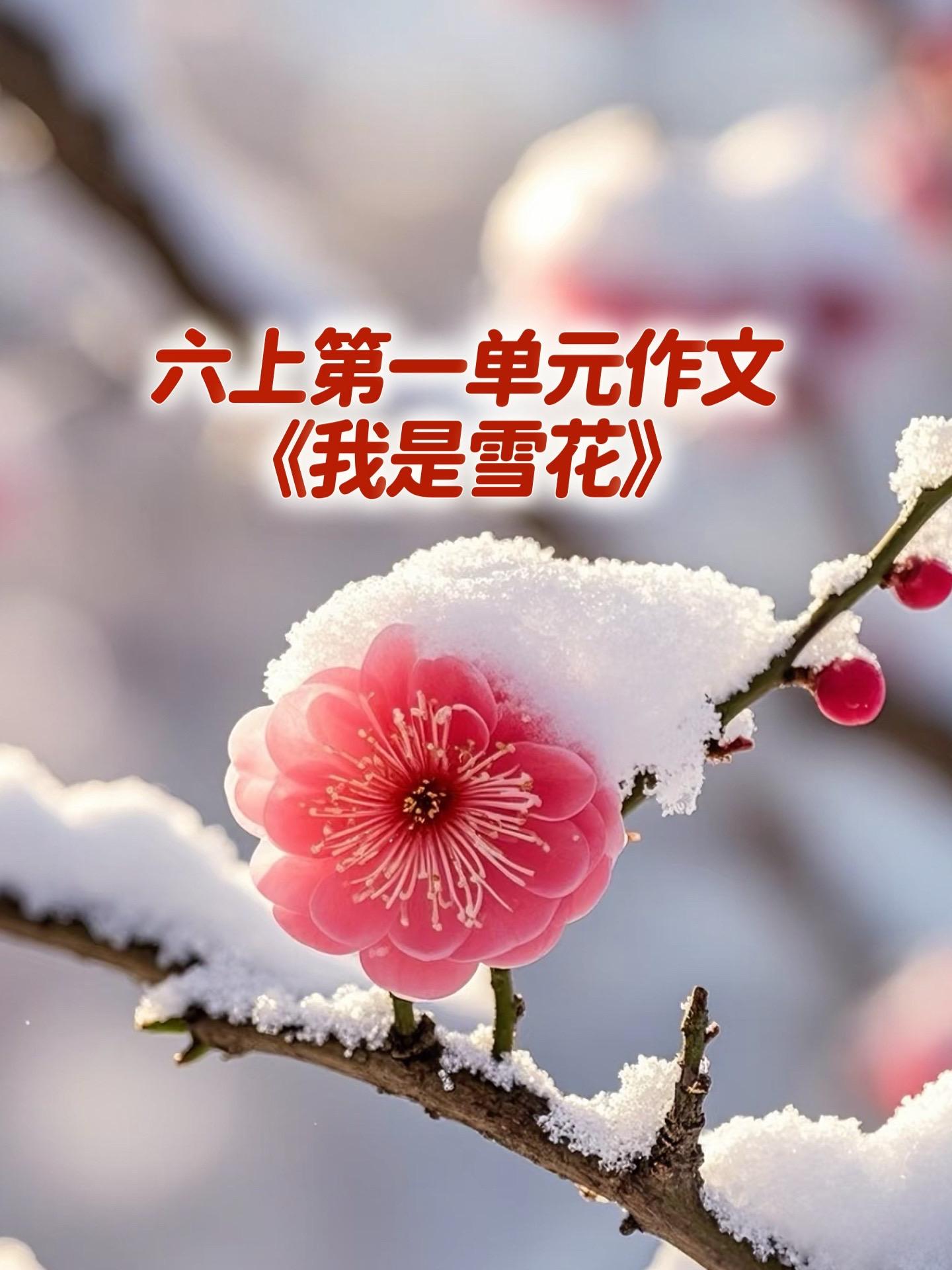 《我是雪花》 优秀范文。小学六年级上册第一单元习作《变形记》，同步优秀...