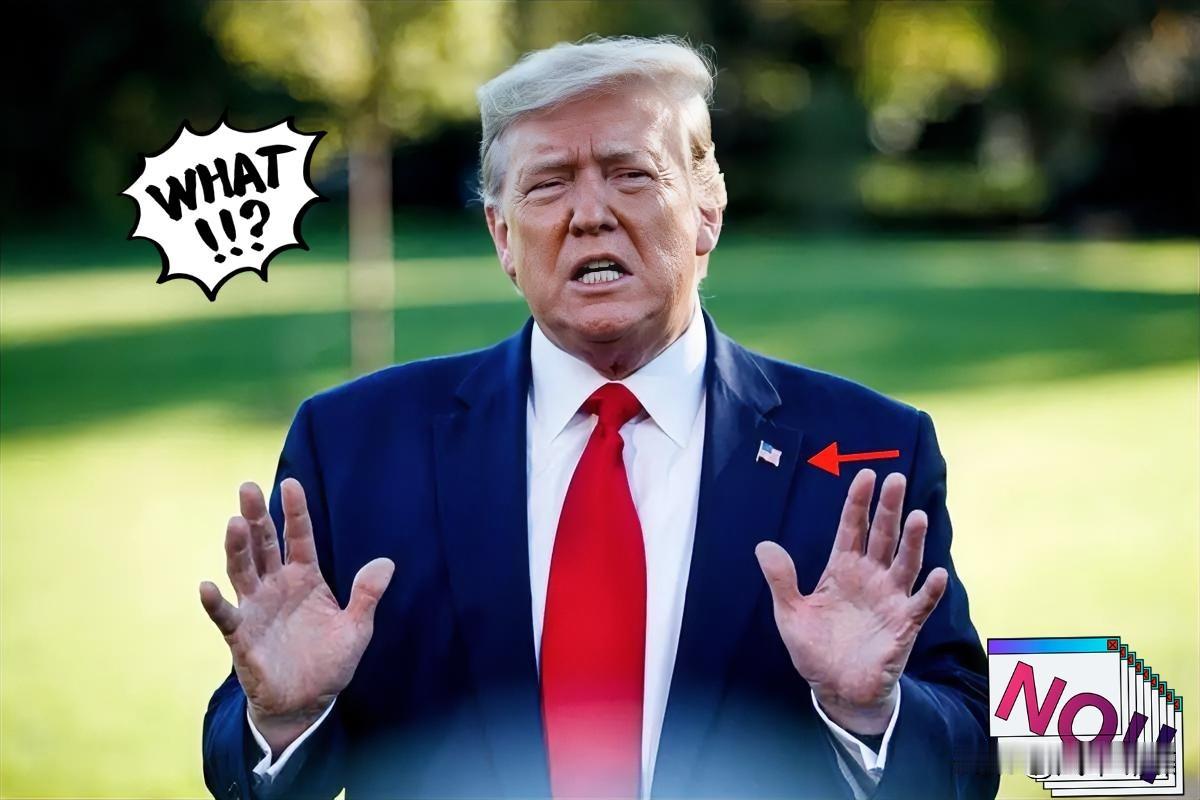 最新快讯！
特朗普正式宣布了

2月22日，美国总统特朗普在海湖庄园宣布建造“特