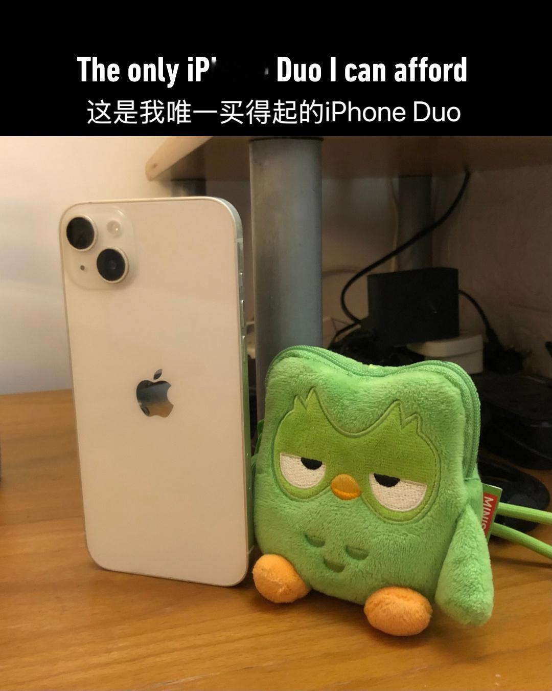 我能买得起的iPhone Duo[老师好]256GB 售价 15999 元512