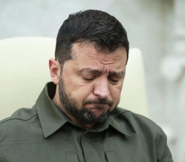 有一说一，泽连斯基这人还怪有本事的嘞。如果不是他，试问谁能给美国和北约放血？大家