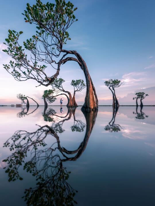 用尼康拍照的这一年｜我与自然～