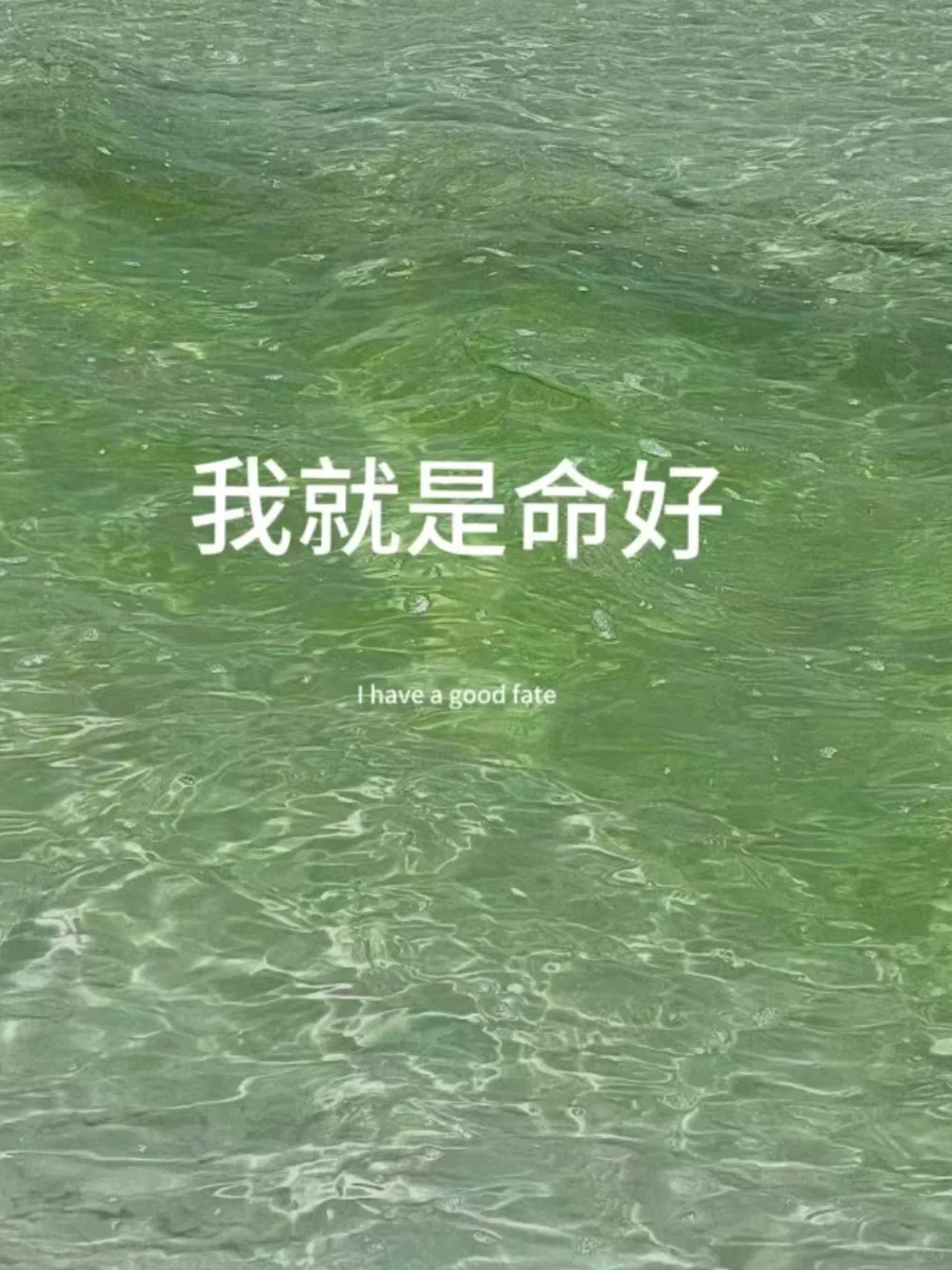 我就是命好