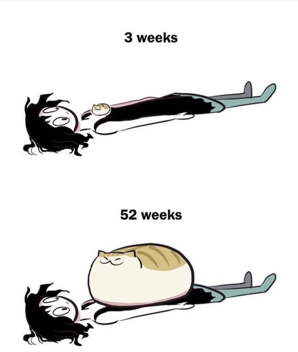 梓渝也可以享受这种生活了