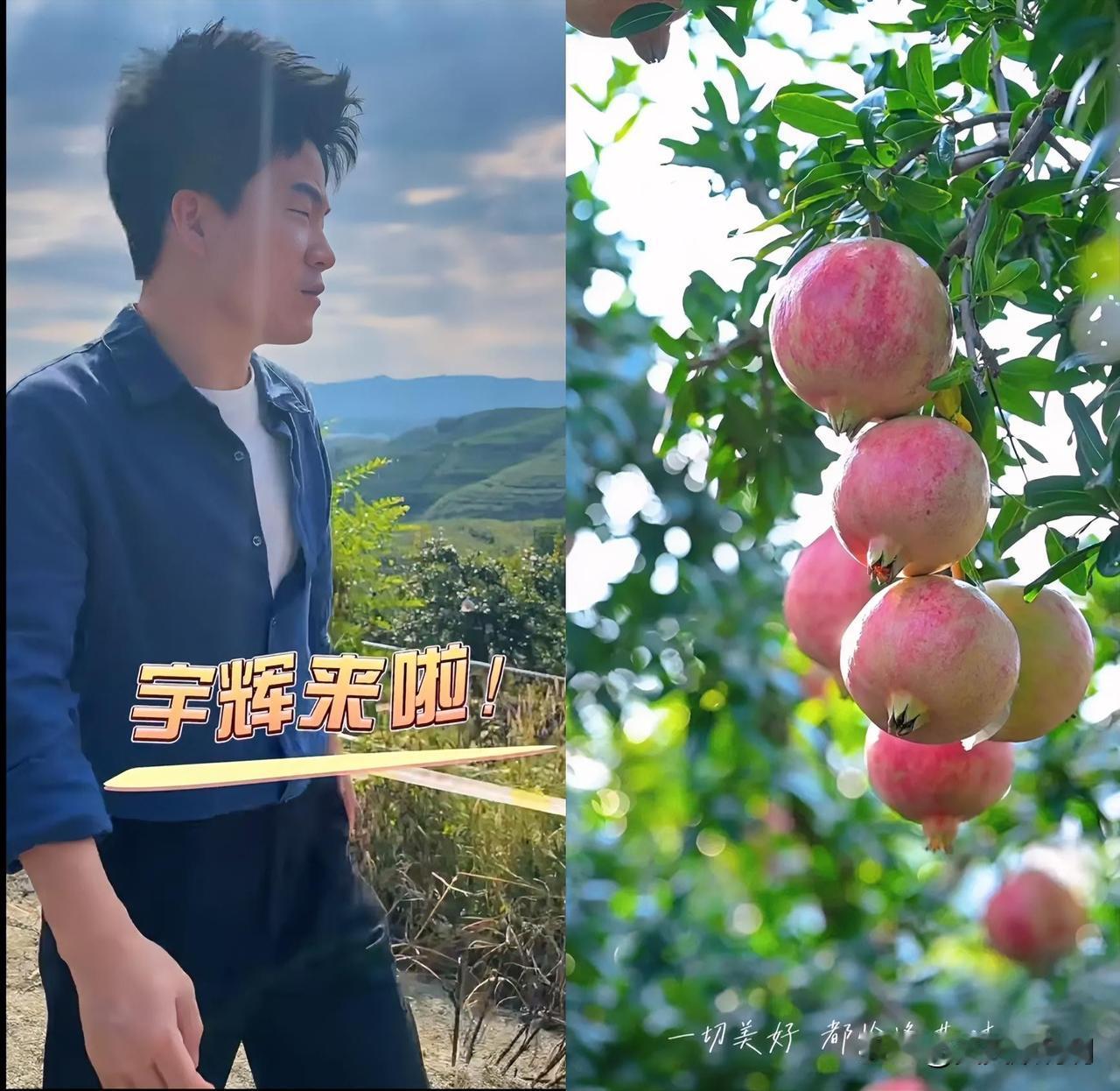 30万单，864万流水，董宇辉在四川会理这波操作，确实把直播带货玩出了新高度。