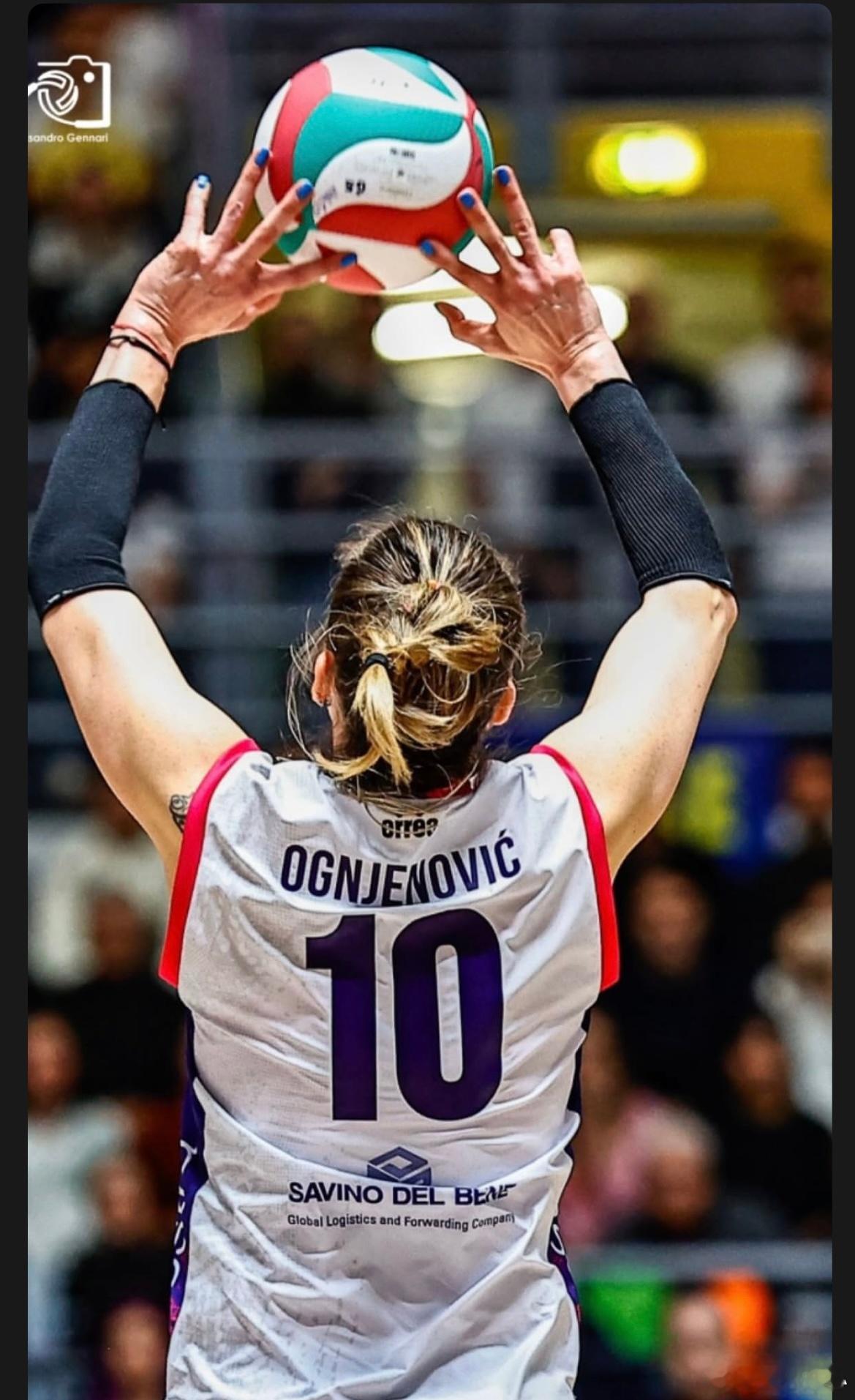 瓜姐转发自己传球瞬间世界女排新闻