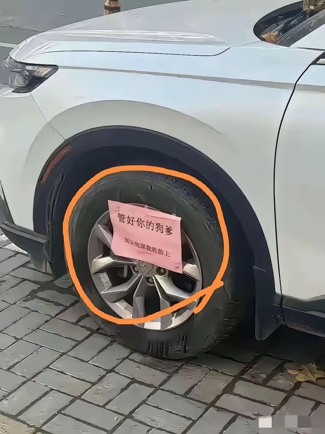 为车主点赞👍这样的遛狗人真的很讨厌，靠自觉解决不了问题。