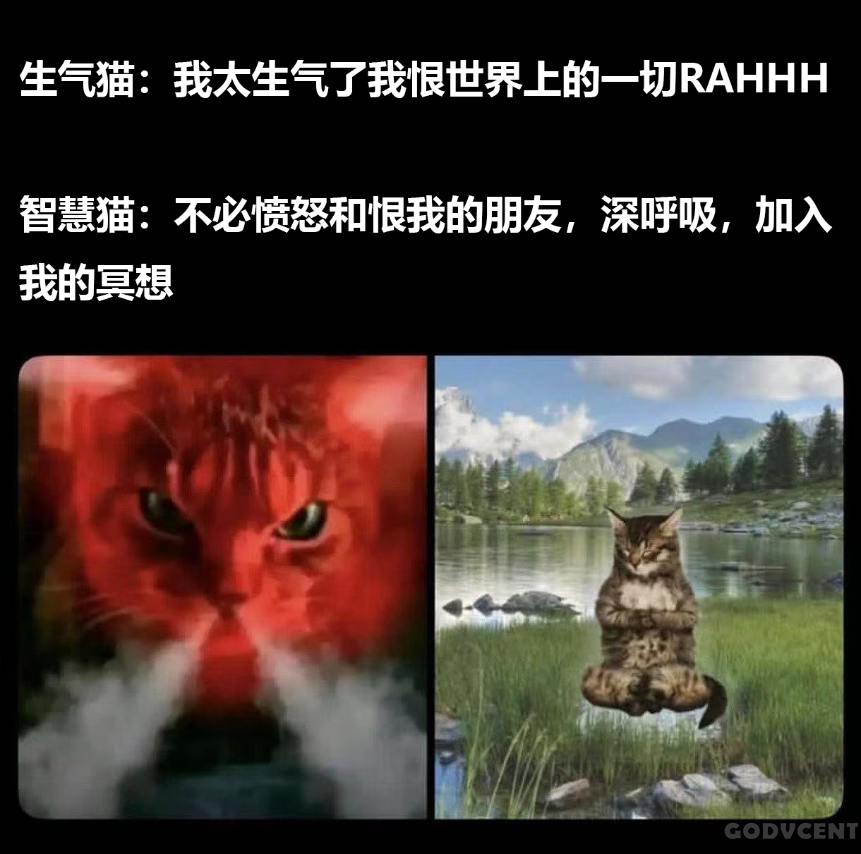 你挺谁 