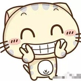 大团子爱玩科技