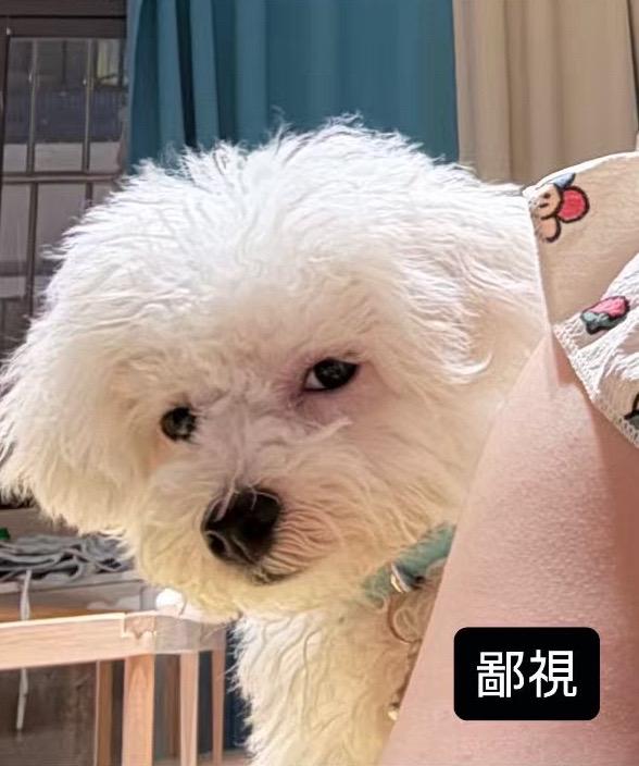 对嘟 我是表情包达人～