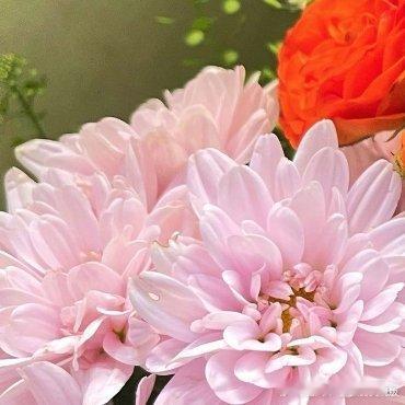 善良不在于大小，而在于坚持。每日一善，即是无尽善良的开始。一个小小的善举，如同星