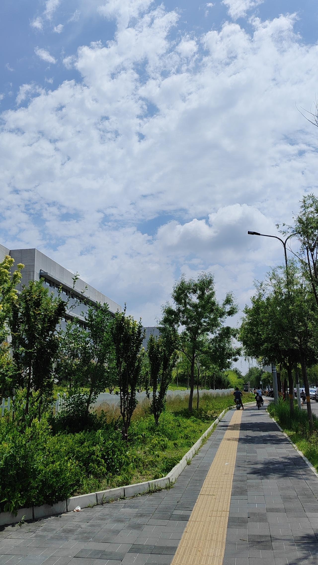 面对全球供应链的脆弱性，国家果断出手为民生筑起防波堤。一方面，依托成品油定价机制