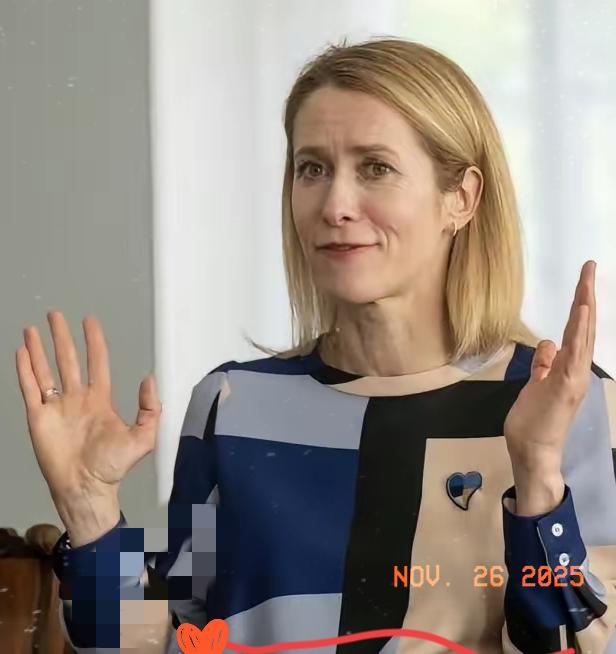 当我听到卡拉斯讲话时，我简直无法理解：现代外交的发源地、两次世界大战后发誓‘再也