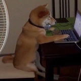 游来游去暖心鱼