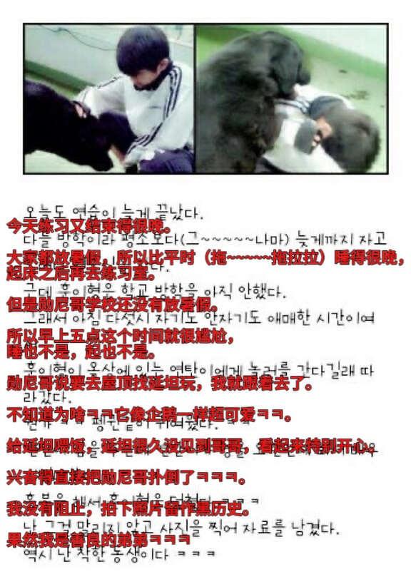 在练习生时期DK视角下的知勋🥰
被狗狗欺负的小勋嘿嘿嘿
seventeen w