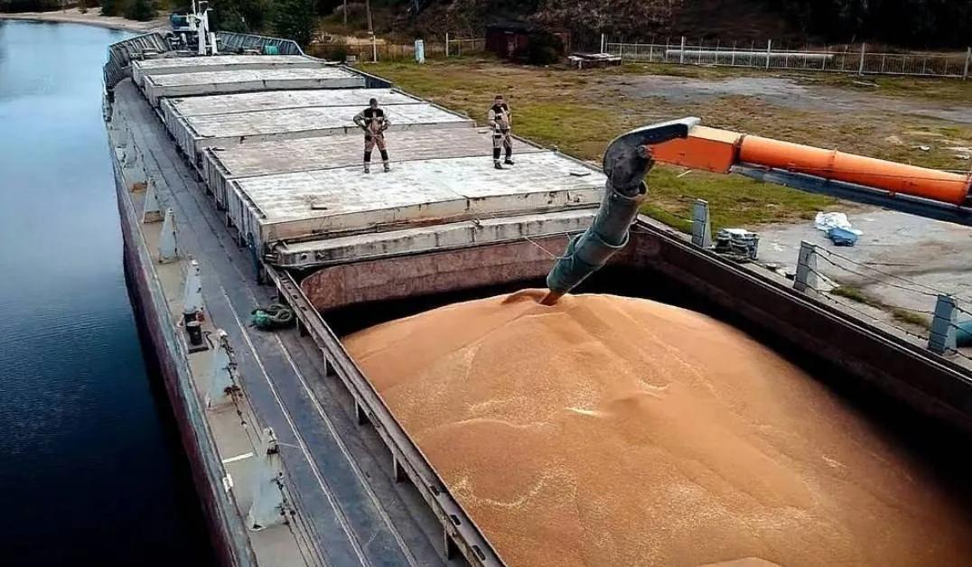 意大利国防部长证实，非洲国家只接收了乌克兰粮食的5% 意大利国防部长吉多·克罗塞