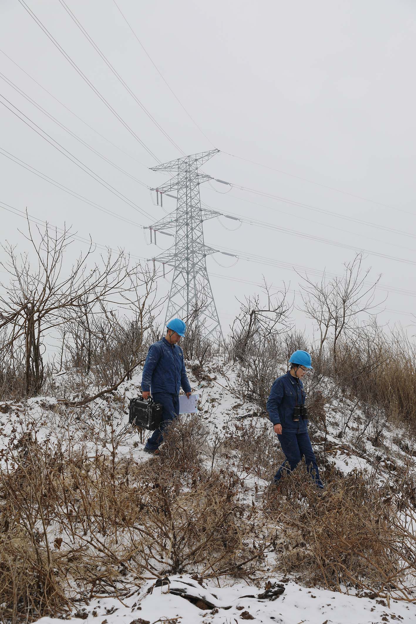 观冰精灵+ 无人机 + 人工巡检 亳州供电打响抗冰保电 “无声战役”