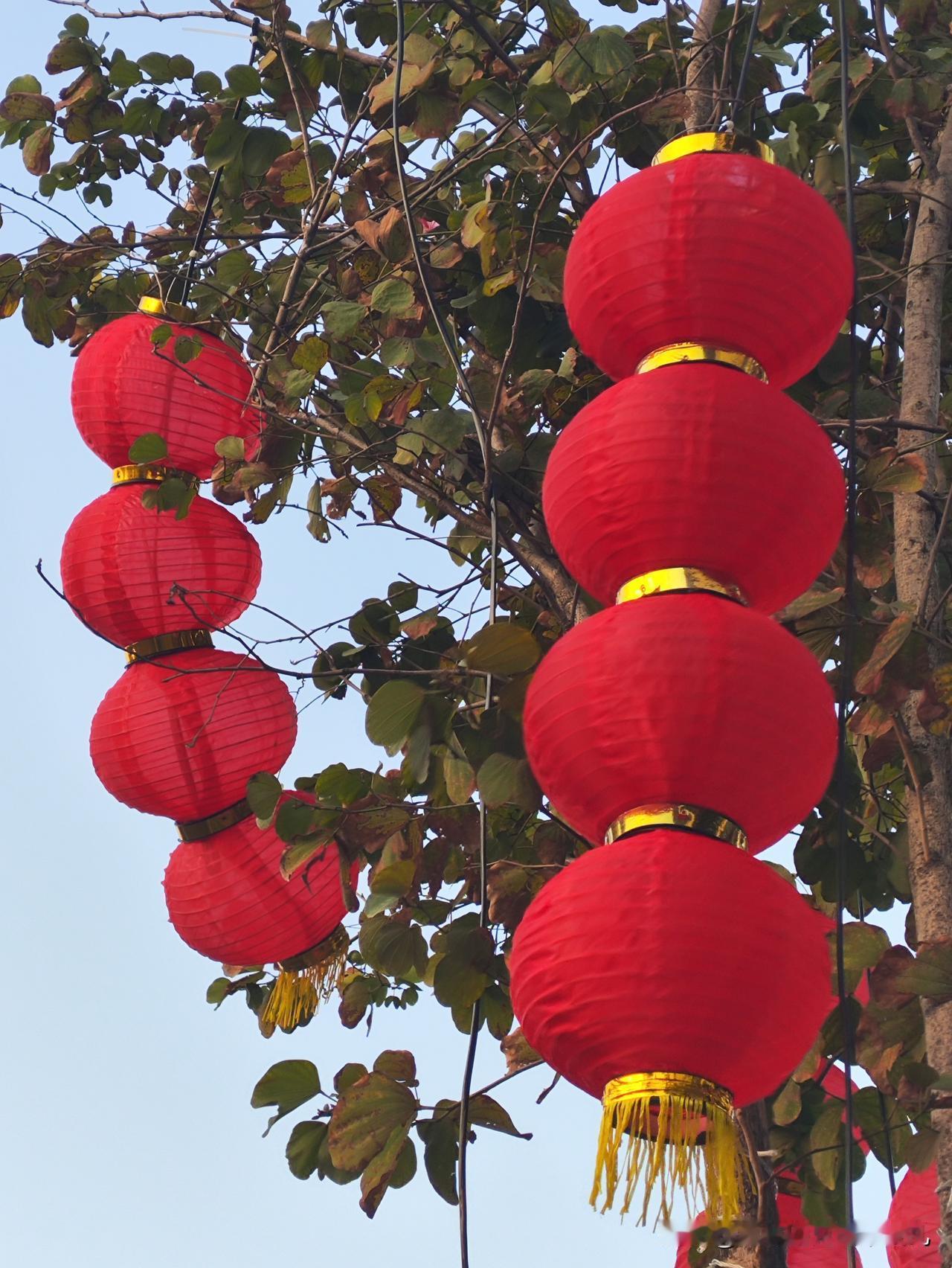 春运开始，回家过年了！