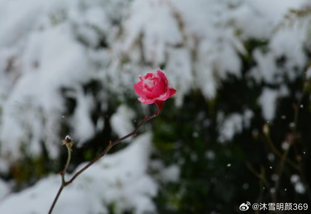 我学到的一课是：一个人成长的能力，直接取决于能直面多少关于自身的真相而不逃避。 