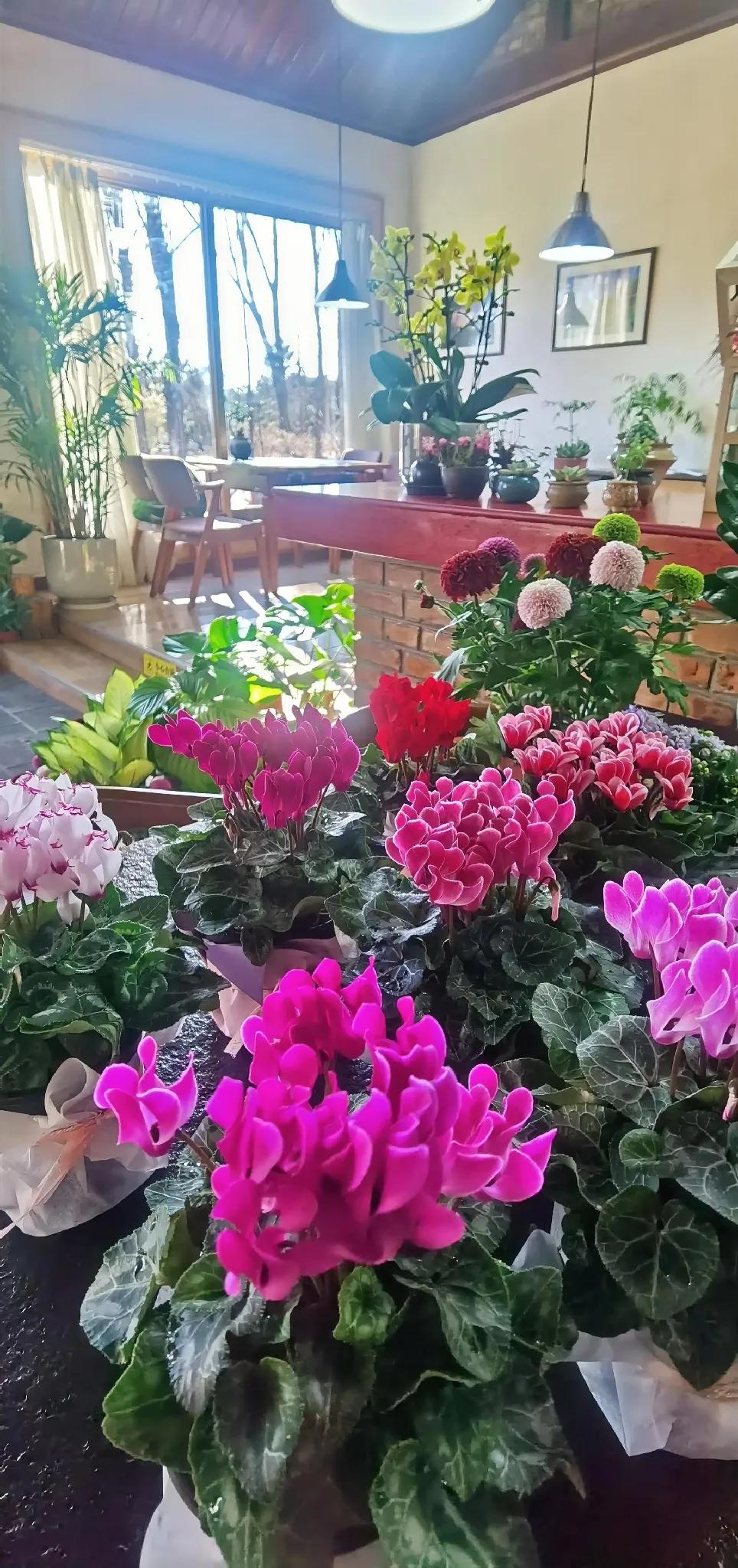 花影摇曳处，春光满庭芳。